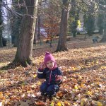 phoca_thumb_m_v zmeck 4 Fotogalerie